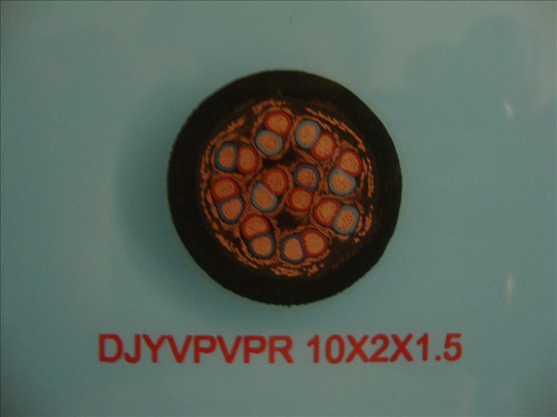 DJYVPVPR 10*2*1.5計(jì)算機(jī)屏蔽軟電纜